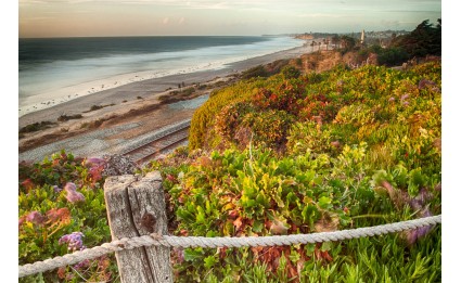 Coastal Cliffs